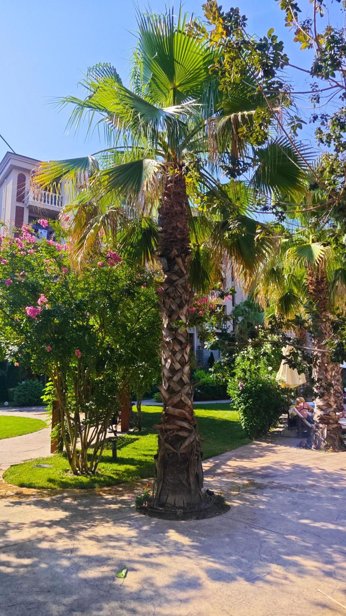 Attractive Family Apartment In Sunny Beach Cascadas Family Resort Esterno foto